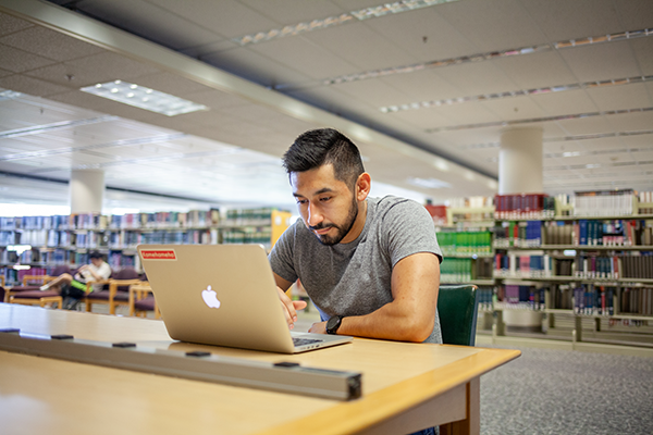 student studies in library